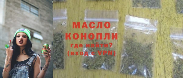 дмт Богородск