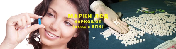 дмт Богородск