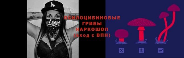 гашишное масло Богородицк
