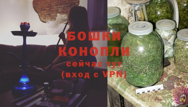 дмт Богородск