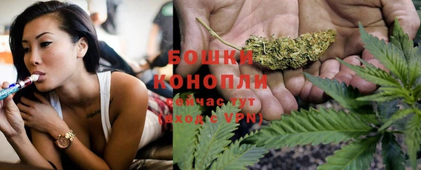 дмт Богородск