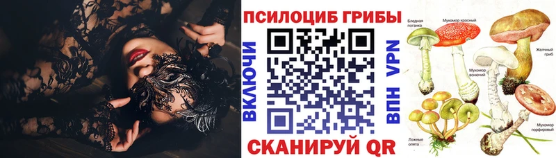 гидра онион  Пионерский  Галлюциногенные грибы Magic Shrooms 